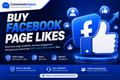 facebook-Page likes-qty-100